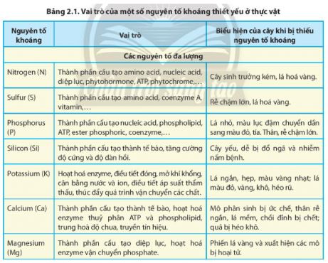Sinh 11 Chân trời sáng tạo bài 2