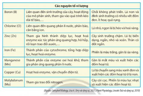 Sinh 11 Chân trời sáng tạo bài 2