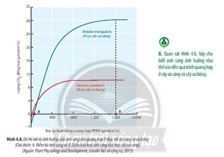 Sinh 11 Chân trời sáng tạo bài 4