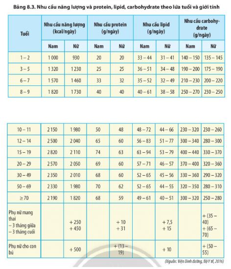 Sinh 11 Chân trời sáng tạo bài 8