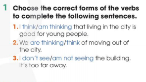 Tiếng Anh 11 Global Success Unit 3 Language