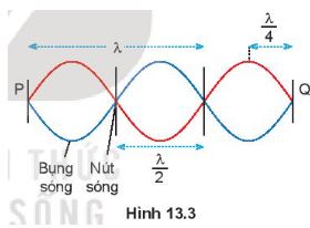 Vật lý 11 Kết nối tri thức bài 13