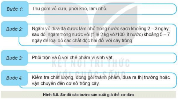 công nghệ 10