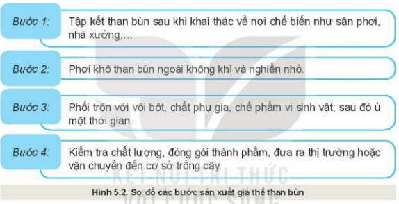 công nghệ 10
