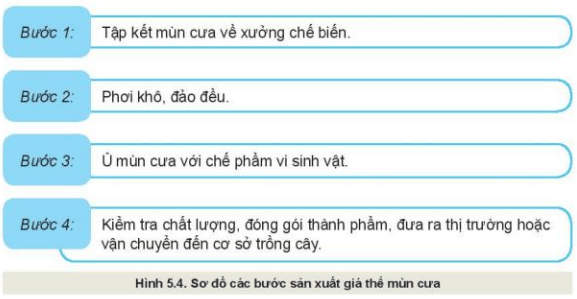 công nghệ 10