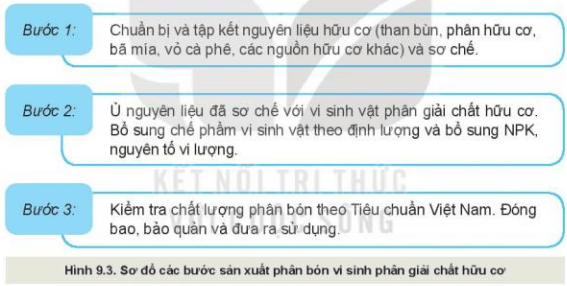 công nghệ 10