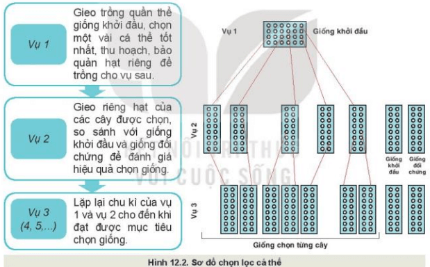 Công nghệ 10