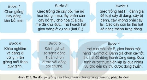 Công nghệ 10