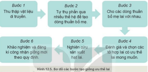 Công nghệ 10