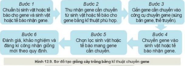 Công nghệ 10
