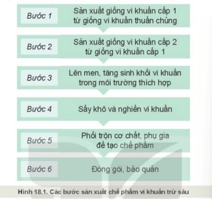 công nghệ 10