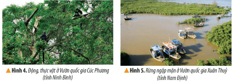 Lịch Sử và Địa Lí lớp 4 Kết nối tri thức