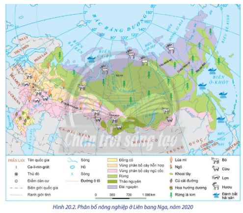 Địa lí 11 Chân trời sáng tạo bài 20