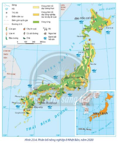 Địa lí 11 Chân trời sáng tạo bài 23