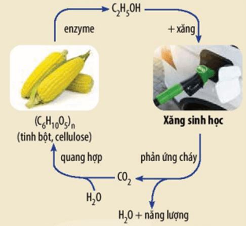 Vận dụng 1 trang 113 Hóa học 11