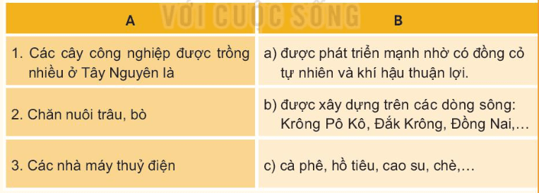 Lịch Sử và Địa Lí lớp 4 Kết nối tri thức Bài 21