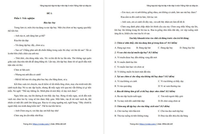 bo 6 de on he lop 4 len lop 5 mon tieng viet co dap an H1*463507