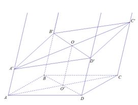 Toán 11 Chân trời sáng tạo bài 4