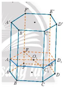 Toán 11 Chân trời sáng tạo bài 4