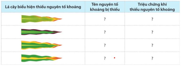 Luyện tập trang 11 Sinh học 11