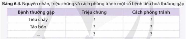 Vận dụng trang 44 Sinh học 11