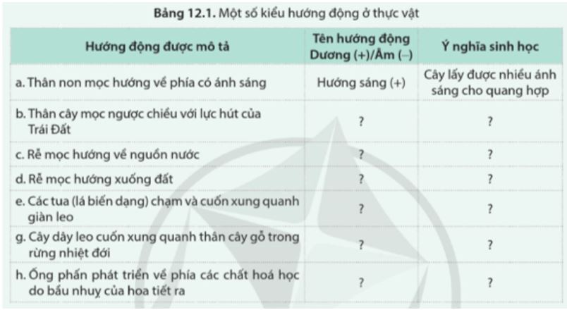 Luyện tập trang 81 Sinh học 11