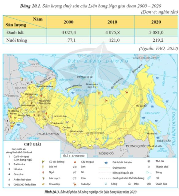Câu hỏi trang 97 Địa Lí 11