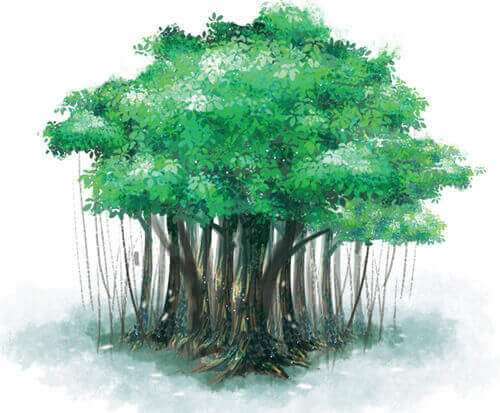 Viết đoạn văn cho bài văn miêu tả cây cối lớp 4