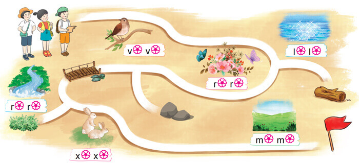 Viết đoạn văn cho bài văn miêu tả cây cối lớp 4