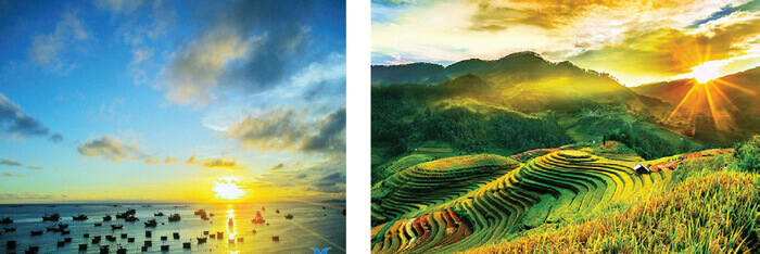 Viết đoạn mở bài cho bài văn miêu tả cây cối lớp 4