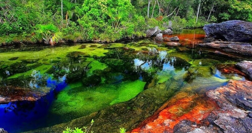 Sông Cano Cristales (Colombia) được biết đến với tên gọi Dòng sông Ngũ sắc, Dòng nước Cầu vồng vì có màu nước sống động, phối hợp giữa 5 gam màu đỏ, vàng, ngọc bích, xanh dương, đen