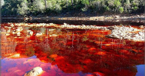 Sông Rio Tinto (hay còn gọi là sông Đỏ) nằm ở Tây Ban Nha. Dòng sông nổi tiếng với màu nước đỏ như máu.