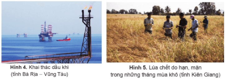 Lịch Sử và Địa Lí lớp 4 Cánh diều Bài 18: Thiên nhiên vùng Nam Bộ