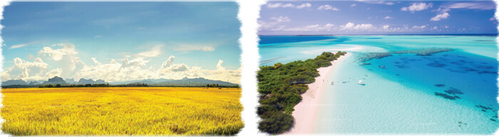 Đọc: Thảo nguyên bao la lớp 4