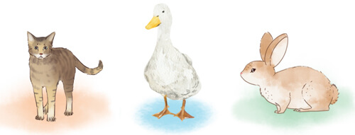 Lập dàn ý cho bài văn miêu tả con vật lớp 4