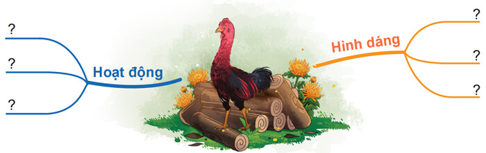 Quan sát, tìm ý cho bài văn miêu tả con vật lớp 4