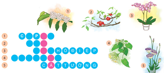 Quan sát, tìm ý cho bài văn miêu tả con vật lớp 4