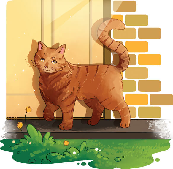  Viết đoạn văn cho bài văn miêu tả con vật lớp 