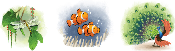 Luyện tập viết đoạn văn cho bài văn miêu tả con vật lớp 4