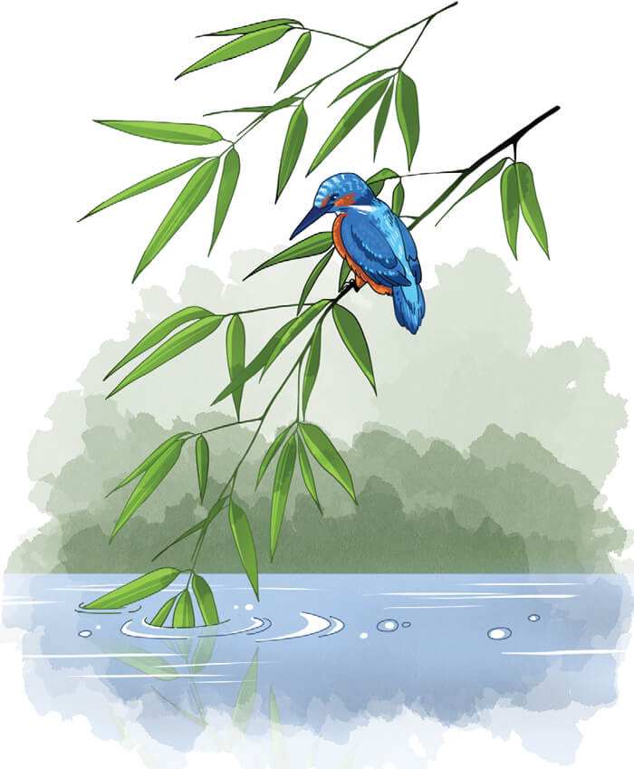 Luyện tập quan sát, tìm ý cho bài văn miêu tả con vật lớp 4