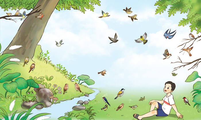 Đọc: Quà tặng của chim non lớp 4