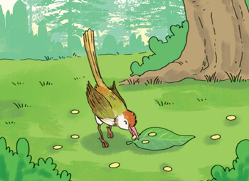 Kể chuyện Bài học quý lớp 4