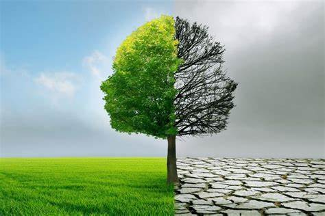 Tiếng Anh 11 Smart World Unit 4 Lesson 3