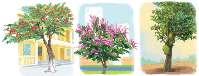 Lập dàn ý cho bài văn miêu tả cây cối