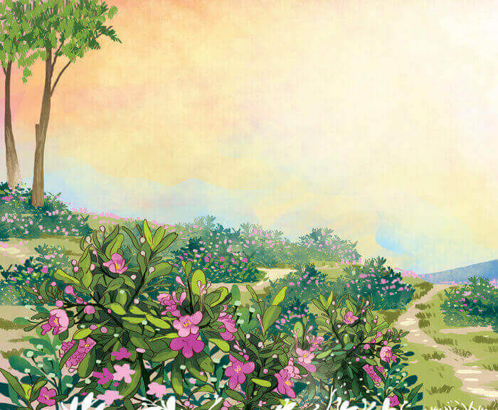 Viết: Tìm hiểu cách viết bài văn miêu tả cây cối lớp 4