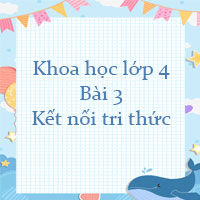 Khoa học lớp 4 bài 3 Sự ô nhiễm và bảo vệ nguồn nước. Một số cách làm sạch nước