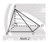 Toán 11 Chân trời sáng tạo bài tập cuối chương 8