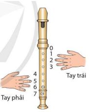 Nhạc cụ: Nhạc cụ thể hiện tiết tấu, nhạc cụ thể hiện giai điệu SGK Âm nhạc 4 CD