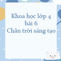 Khoa học lớp 4 bài 6 Ô nhiễm không khí và bảo vệ môi trường không khí