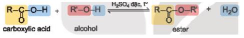 Hóa 11 Kết nối tri thức bài 24